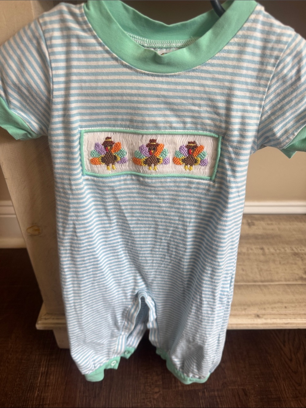 Unbranded Mint & White Striped Kids One-Piece with Turkey Smock